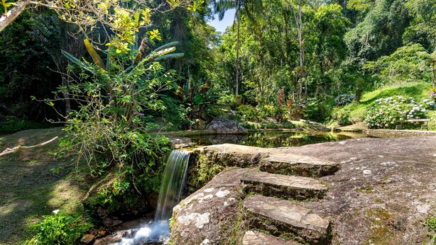 A waterfall cascading over moss-covered rocks with a stone staircase leading down. - Boutique chalet amidst the Atlantic rainforest. (PETRÓPOLIS)