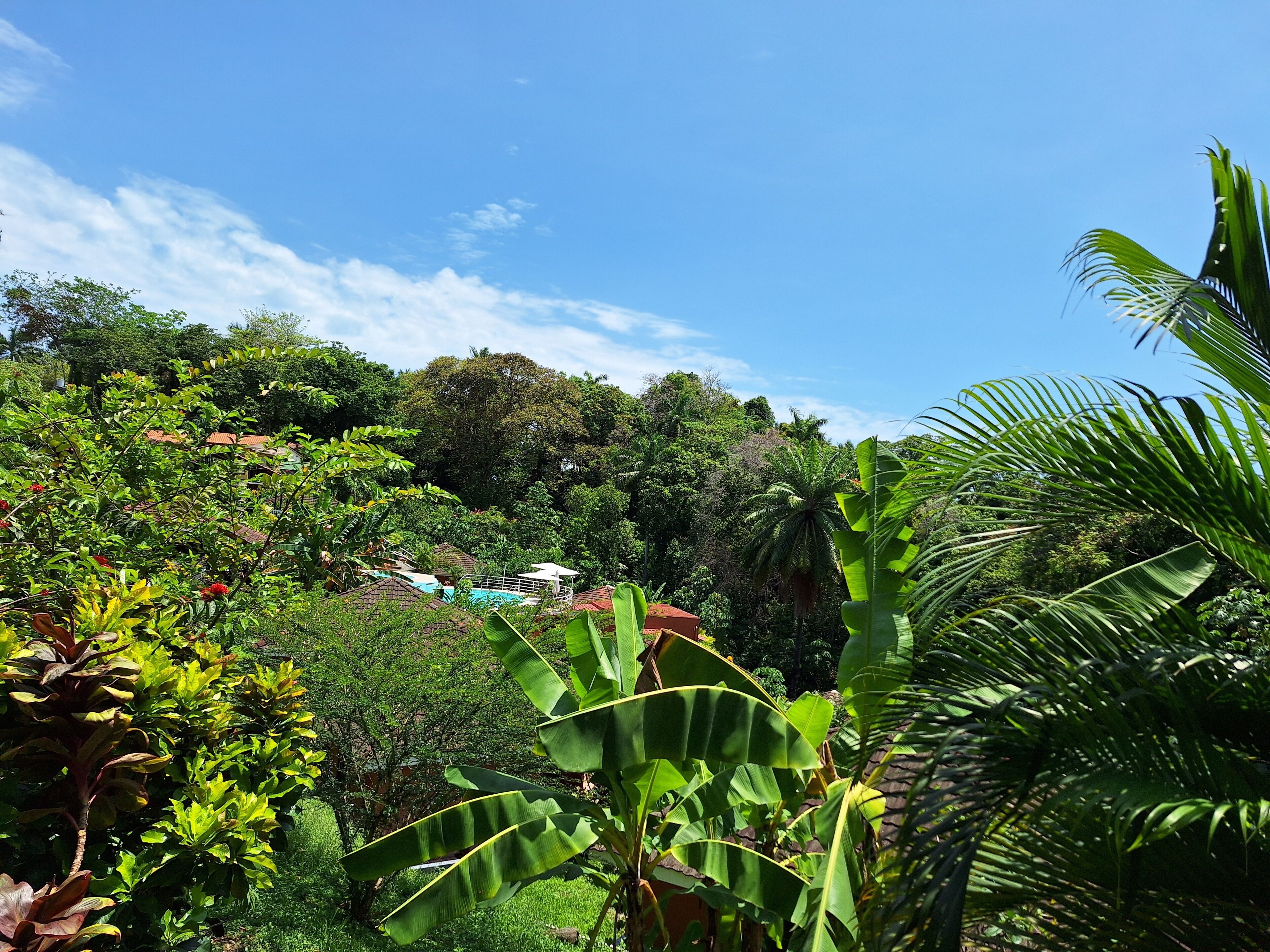 deluxe quadruple room, 2 queen beds, non smoking | balcony view