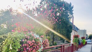 A sidewalk with a red metal railing, a concrete path, and various flowering plants. - Gîtes Onyx: l'Albizia, Lot - Vallée de la Dordogne (Bétaille)