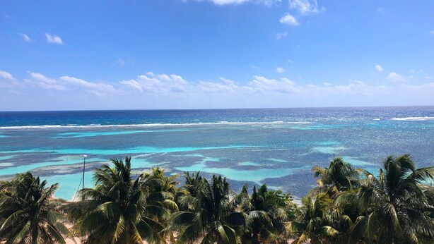 A tropical beach with clear turquoise waters and palm trees.
