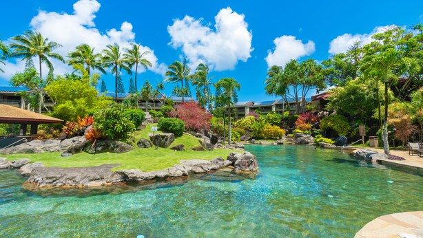 A clear pool with rocks and palm trees, surrounded by lush greenery and a clear blue sky. - (4323) 1 Br Hanalei Bay Resort, Ocean view and Plenty of Amenities (Princeville)