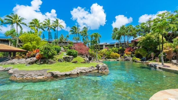 A clear pool with rocks and palm trees, surrounded by lush greenery and a clear blue sky. - (4324) Studio at Hanalei Bay Resort, Ocean view, Pool (Princeville)
