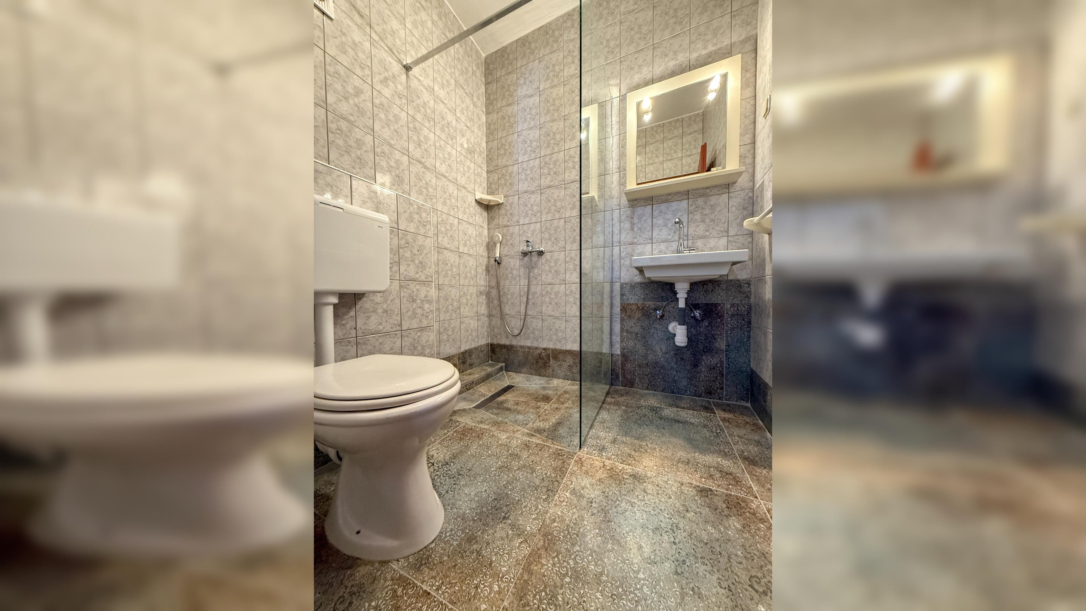 Une salle de bain avec des toilettes, une douche et un lavabo.