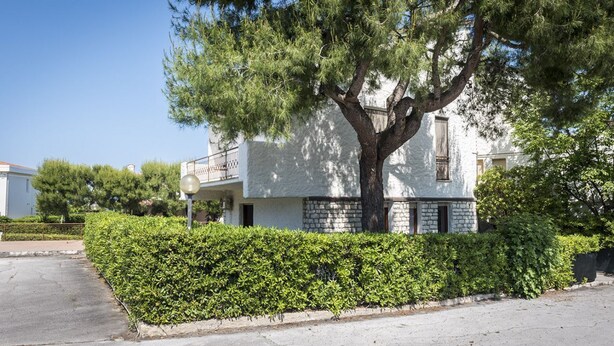 Ein zweigeschossiges Gebäude mit Baum, Hecke und blauem Himmel.