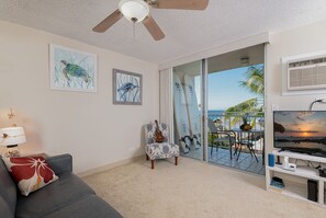 Flat-screen TV, DVD player