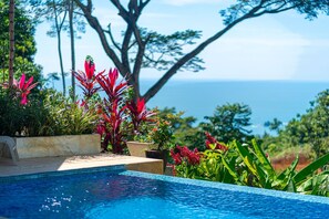 A swimming pool with a view of the ocean, surrounded by tropical plants and trees. - Casa Blanca Ocean View 3 Suites (Ojochal)