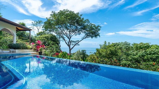 Una piscina ampla i de color blau clar amb vora de rajola, envoltada de vegetació abundant i vista al mar.