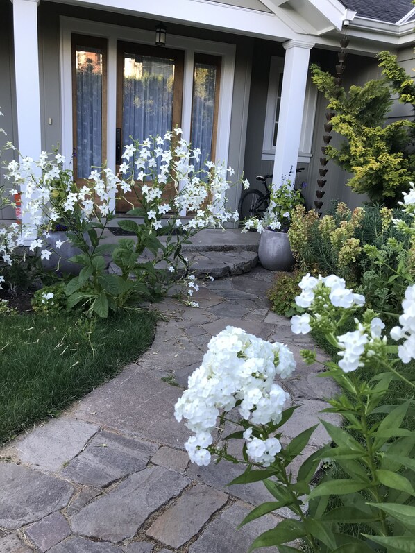 A stone pathway leading to a house with a porch, surrounded by white flowering plants and a bicycle parked nearby.