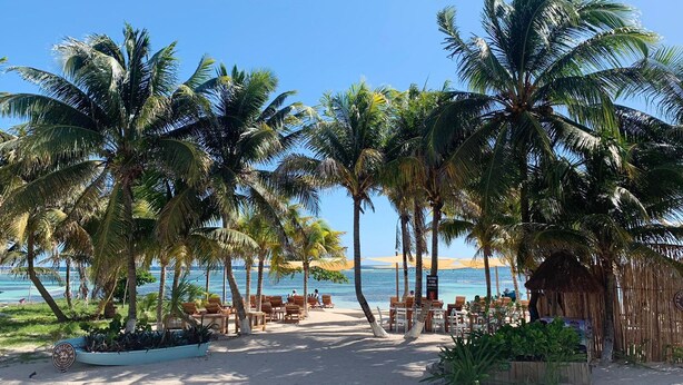 A beachside resort with palm trees, sun loungers, and a clear view of the ocean. - Beachfront 1BR Apartment w/ Terrace & Beach Club (Mahahual)