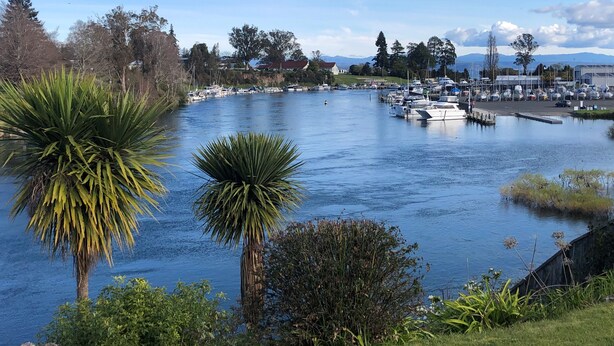 A marina with boats docked, surrounded by greenery and trees.