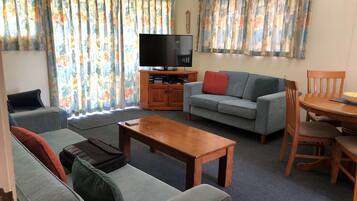 電視、DVD 播放機、書籍、影像庫