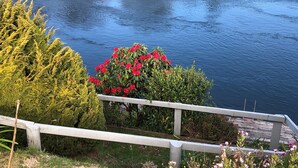 A calm lake with a wooden railing in the foreground, surrounded by lush greenery and vibrant red flowers.
