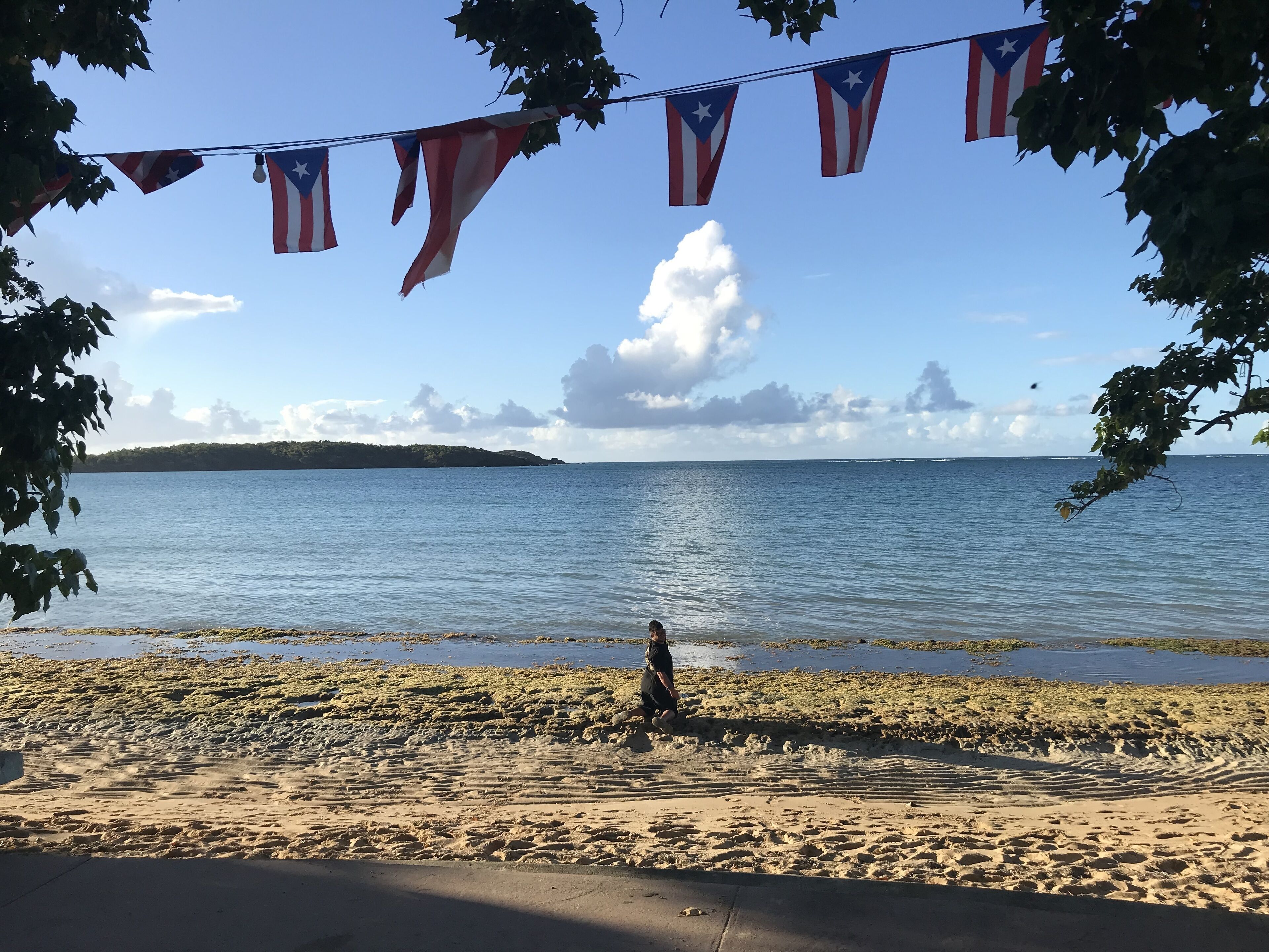 Una playa con banderas estadounidenses colgadas, cielos despejados y agua tranquila.