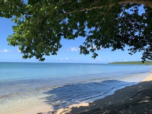 A beach with clear water, a sandy shore, and a tree providing shade. - Villa Camelia (Fajardo)