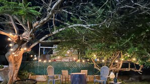 An outdoor seating area with chairs and a table under a tree, surrounded by string lights.