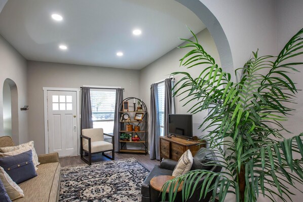 Smart TV, fireplace, books