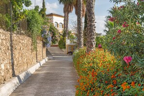 A pathway leading to a building with a stone wall on one side and a variety of flowering plants on the other.
