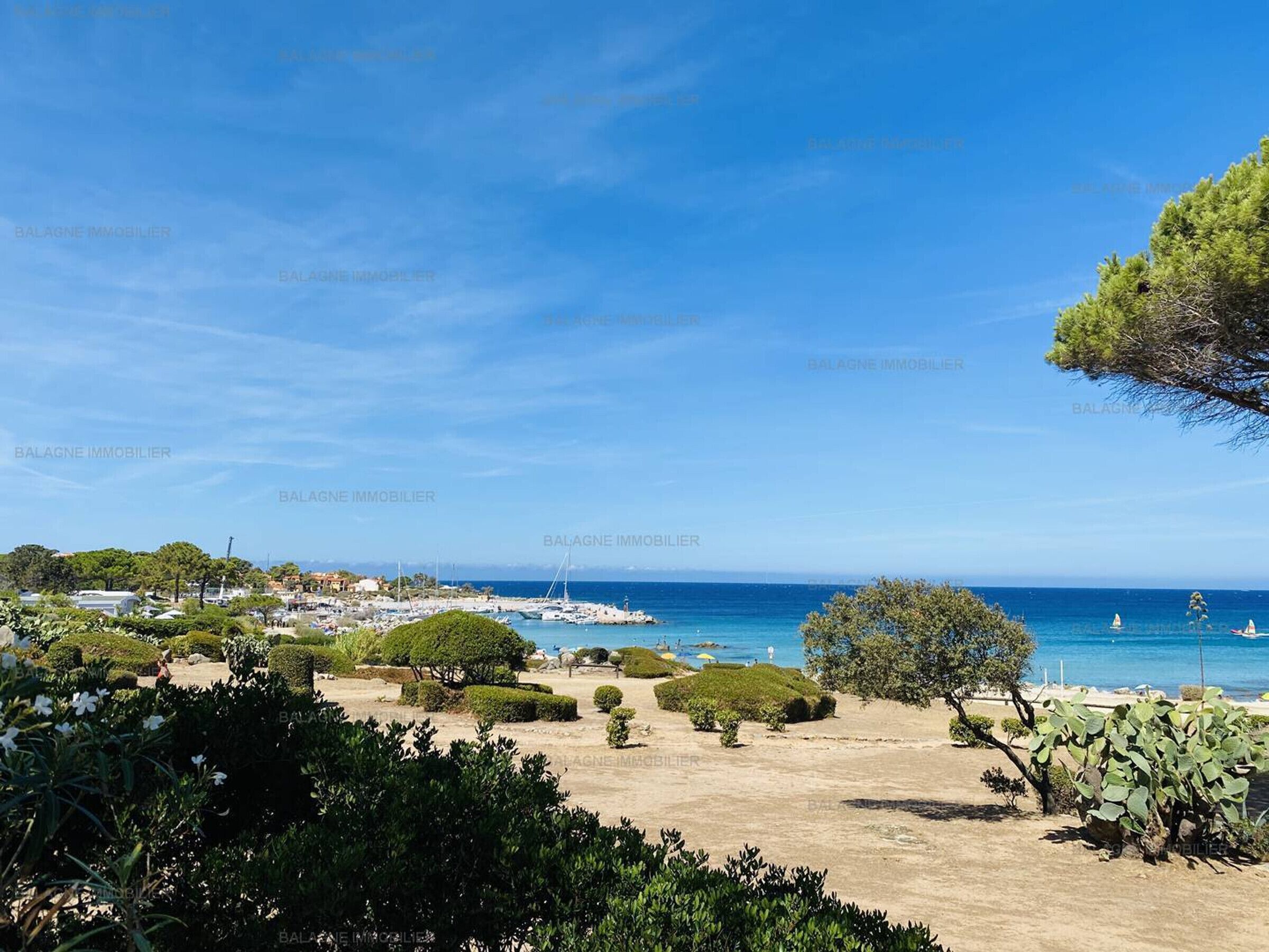 Eine Küstenlandschaft mit blauem Himmel, einer sandigen Fläche mit Grünpflanzen und dem Meer im Hintergrund.