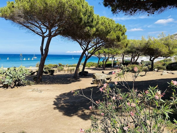 A coastal landscape with trees, a sandy path, and a view of the sea with boats.