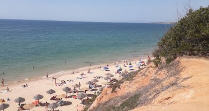 Maison tout confort dans un cadre exceptionnel verdoyant et arboré trÚs calme.