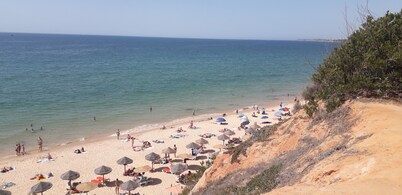 Comfortable house in an exceptionally quiet, leafy setting.