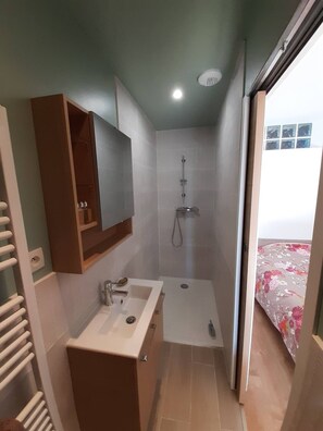 Shower, towels, soap, toilet paper - Superb studio, brand new (Plouguerneau)