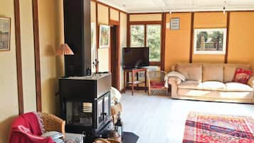 Fireplace, DVD player