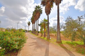 Parco della struttura