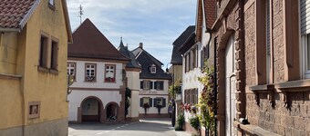 Ferienwohnung Fernblick Pfalz