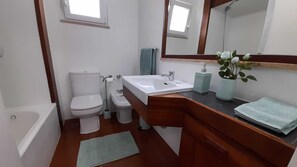 Combined shower/tub, hair dryer, bidet, towels