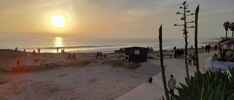 Plage, chaises longues, serviettes de plage