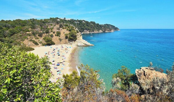 A coastal beach with clear blue waters, sandy shore, and lush greenery.