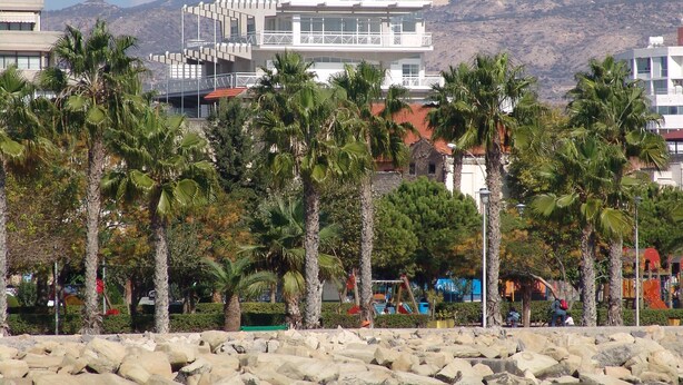 A coastal building with multiple balconies overlooking the sea, surrounded by palm trees and rocky terrain. - 1-80 Collection Penthouse by TrulyCyprus (Limassol)