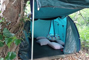 Property grounds - Two bedroom cottage in a quite woodland setting (Nottingham)