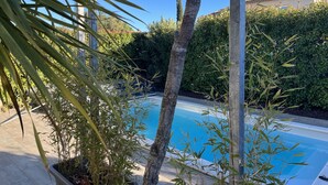 A swimming pool surrounded by greenery, with a clear blue sky above.