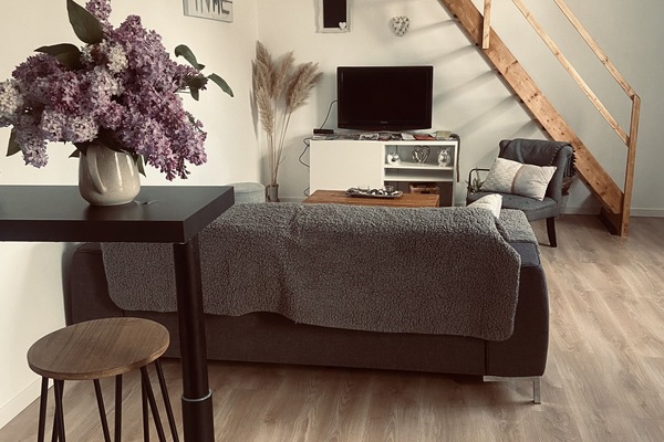 Televisión y libros