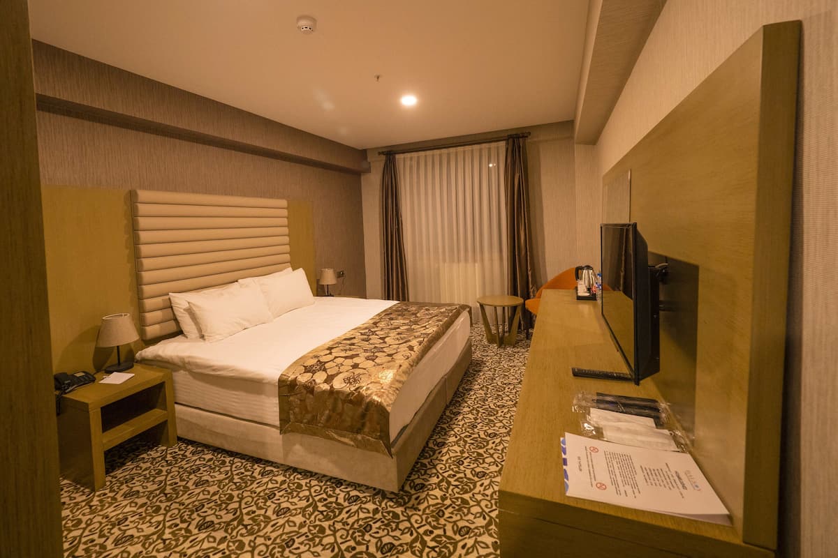 Una habitación de hotel con una cama grande, un escritorio con televisor y un piso con diseño.