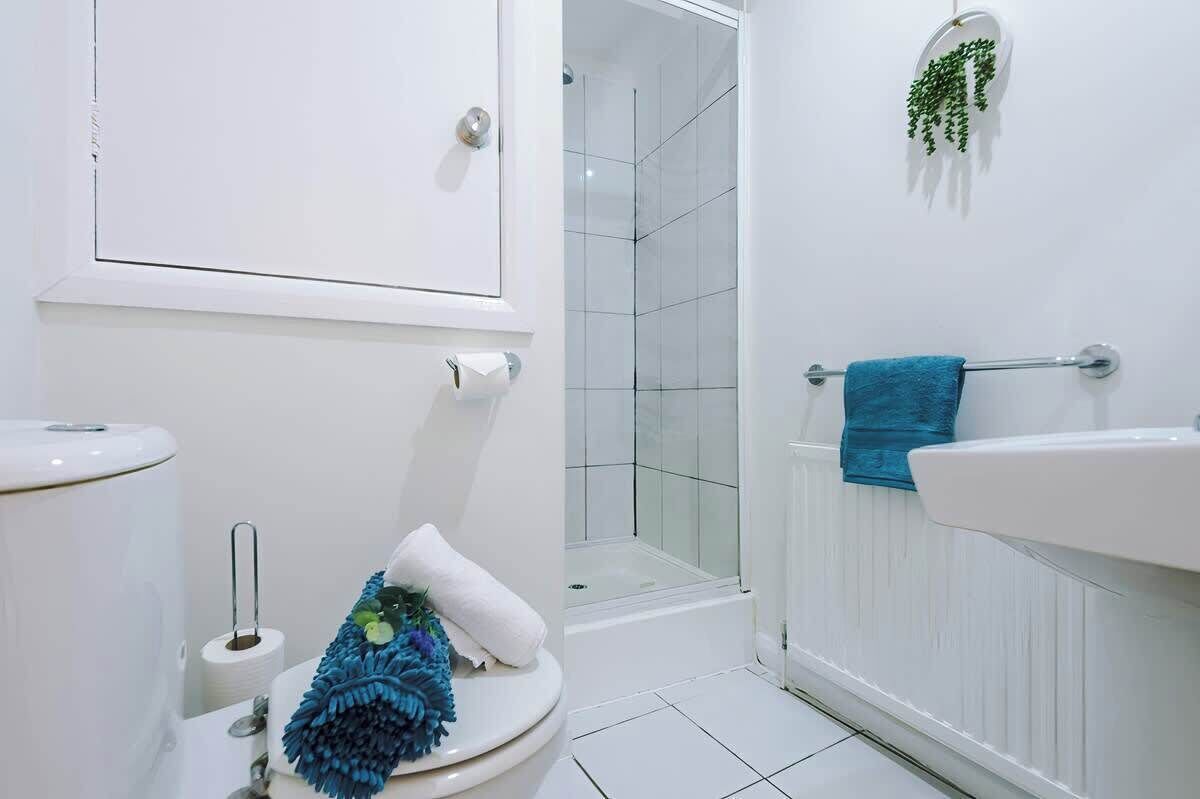 Shower, hair dryer, shampoo
