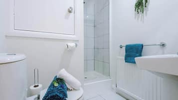 Shower, hair dryer, shampoo