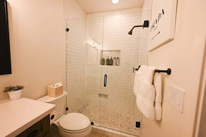 Combined shower/tub, hair dryer