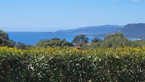 Un paysage côtier offrant une vue dégagée sur la mer, des collines lointaines et une végétation luxuriante au premier plan.