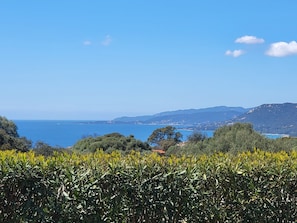 A coastal landscape with a clear view of the sea, distant hills, and dense greenery in the foreground. - Air-conditioned villa apartment with ocean view and parking, rated 4 stars (Viggianello)