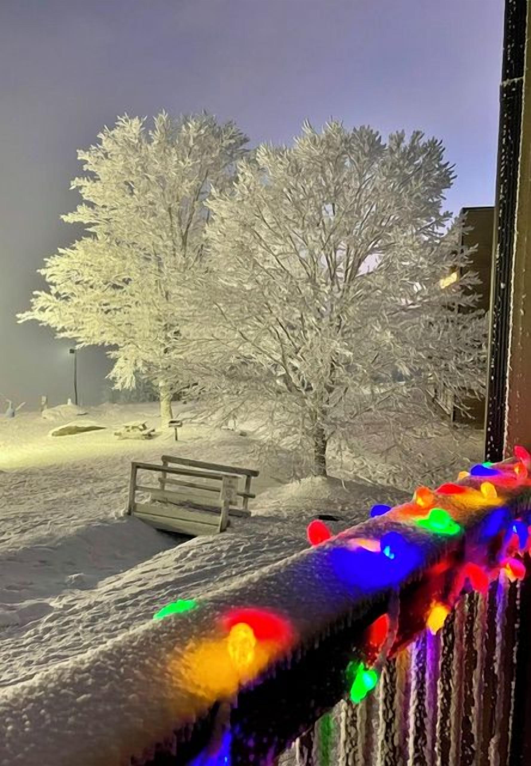 A snow-covered park with benches and trees, viewed from a window with colorful lights.