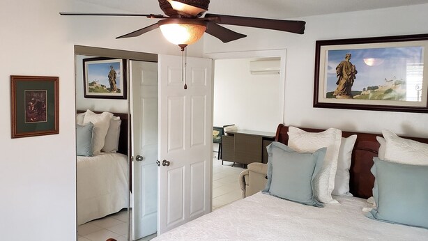 Ein Schlafzimmer mit einem Bett, Kissen, einem Deckenventilator, einer Tür und einem gerahmten Bild an der Wand.