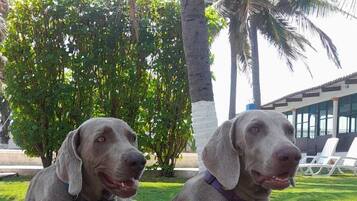 Overnatningsstedets område