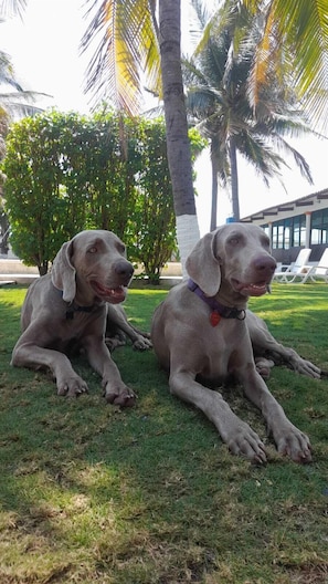 Áreas de la propiedad