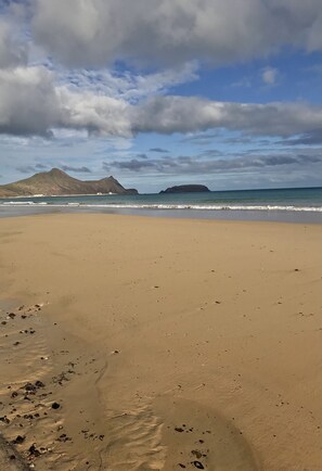Plage à proximité, chaises longues, serviettes de plage