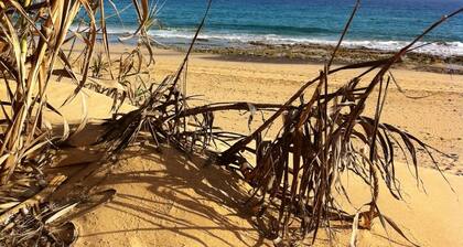 Apartment “Golden View”