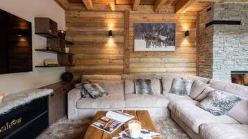 Smart TV, fireplace, books