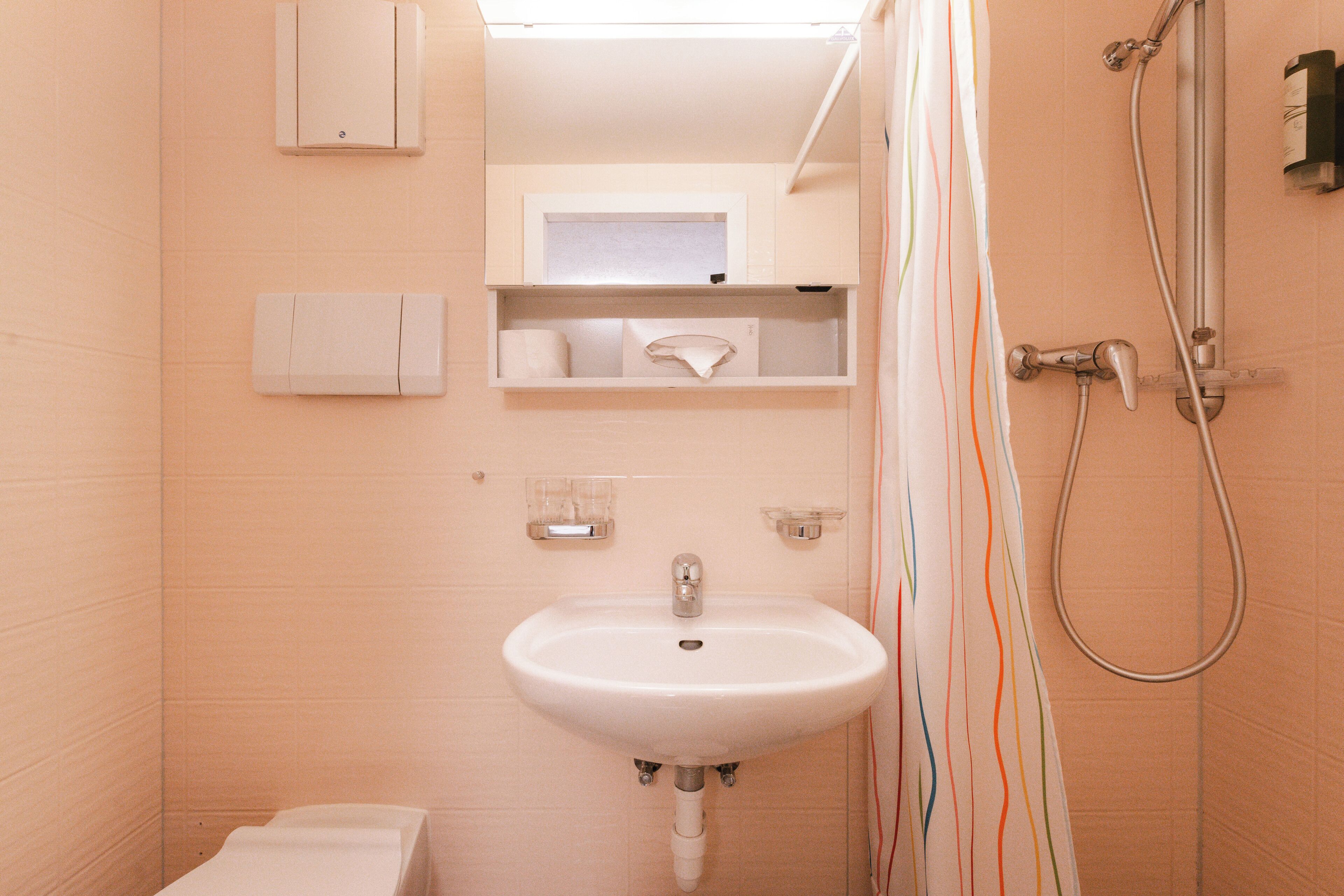 A bathroom with a white sink, a toilet, a shower with a handheld showerhead, and a towel rack.